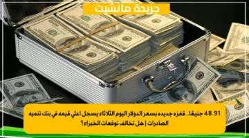 48.91 جنيهًا.. قفزة جديدة بسعر الدولار اليوم الثلاثاء يسجل أعلى قيمة في بنك تنمية الصادرات هل تخالف توقعات الخبراء؟ 1